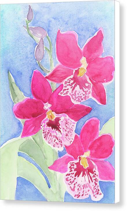 Orchid 03 1 - Canvas Print Canvas Print 1ArtCollection