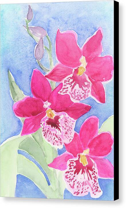 Orchid 03 1 - Canvas Print Canvas Print 1ArtCollection