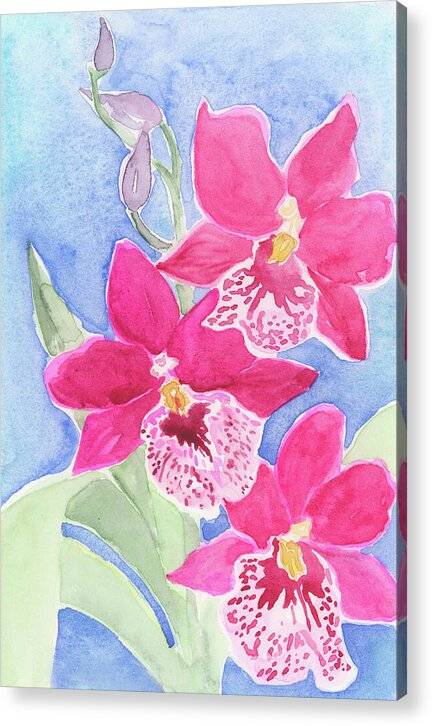 Orchid 03 1 - Acrylic Print Acrylic Print 1ArtCollection