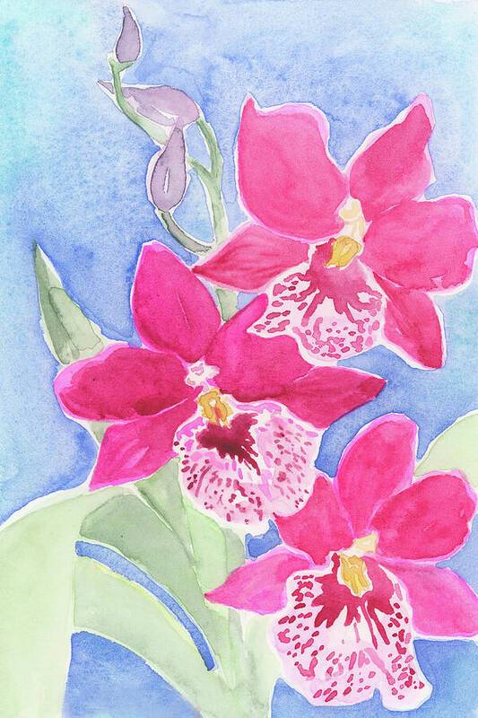 Orchid 03 1 - Art Print Art Print 1ArtCollection