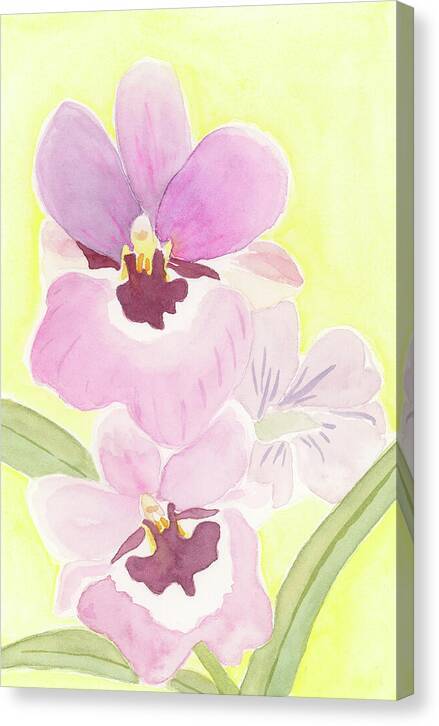 Orchid 04 1 - Canvas Print Canvas Print 1ArtCollection