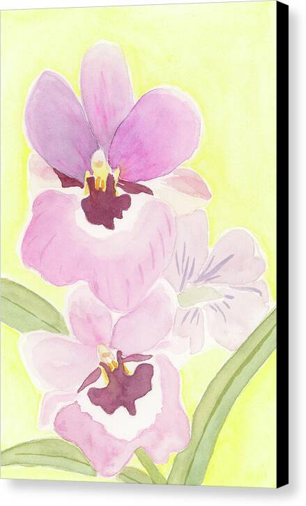 Orchid 04 1 - Canvas Print Canvas Print 1ArtCollection