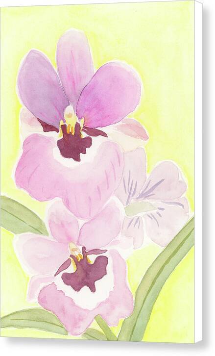 Orchid 04 1 - Canvas Print Canvas Print 1ArtCollection