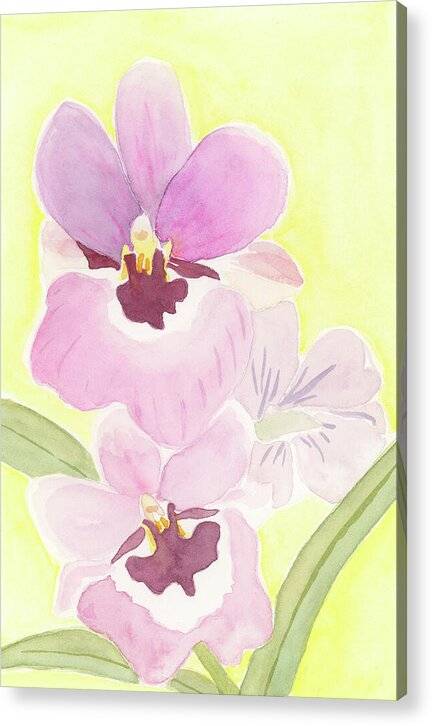 Orchid 04 1 - Acrylic Print Acrylic Print 1ArtCollection