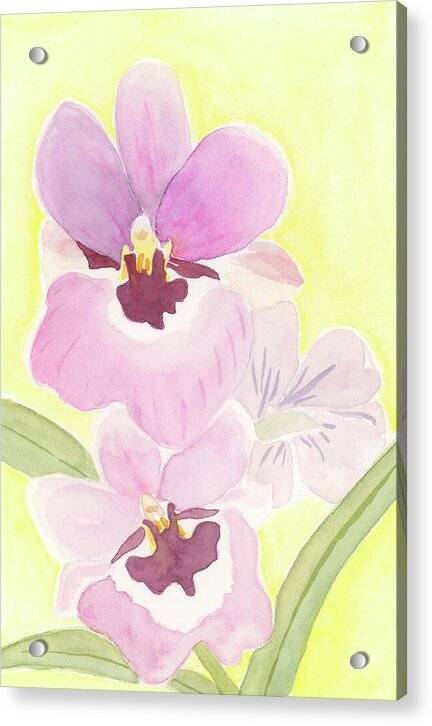 Orchid 04 1 - Acrylic Print Acrylic Print 1ArtCollection