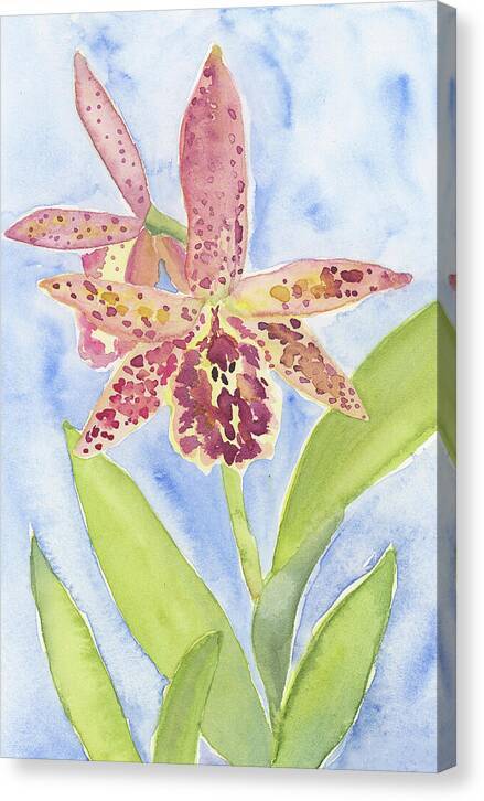 Orchid 07 1 - Canvas Print Canvas Print 1ArtCollection