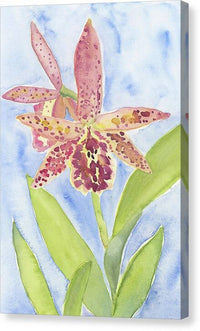 Orchid 07 1 - Canvas Print Canvas Print 1ArtCollection