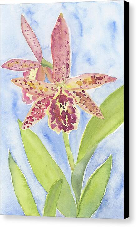 Orchid 07 1 - Canvas Print Canvas Print 1ArtCollection