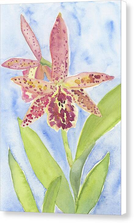 Orchid 07 1 - Canvas Print Canvas Print 1ArtCollection