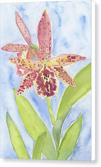 Orchid 07 1 - Canvas Print Canvas Print 1ArtCollection