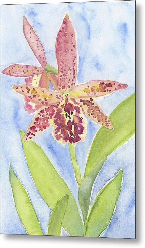 Orchid 07 1 - Metal Print Metal Print 1ArtCollection