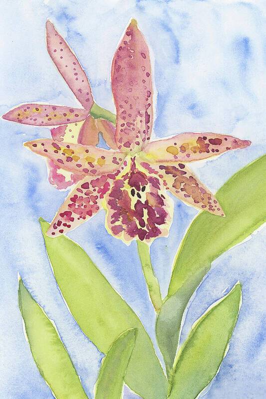 Orchid 07 1 - Art Print Art Print 1ArtCollection