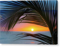 Palm Sunset 1 - Canvas Print