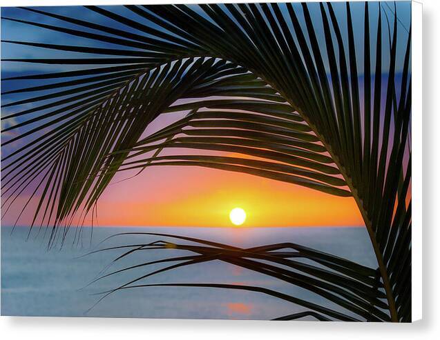 Palm Sunset 1 - Canvas Print