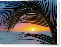 Palm Sunset 1 - Canvas Print