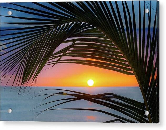 Palm Sunset 1 - Acrylic Print