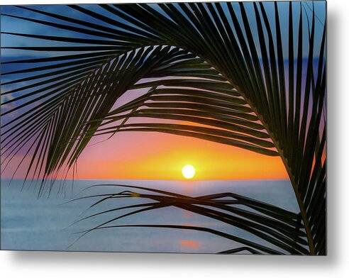 Palm Sunset 1 - Metal Print