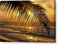 Palm trees and beach 1 - Canvas Print