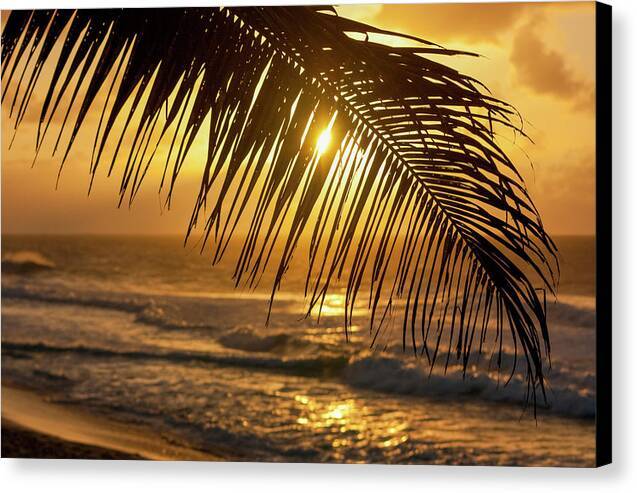 Palm trees and beach 1 - Canvas Print