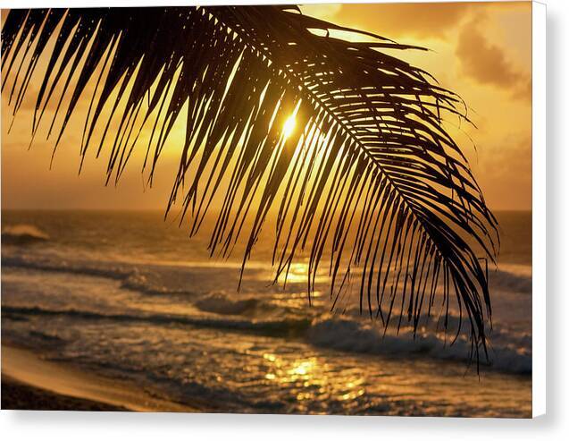 Palm trees and beach 1 - Canvas Print