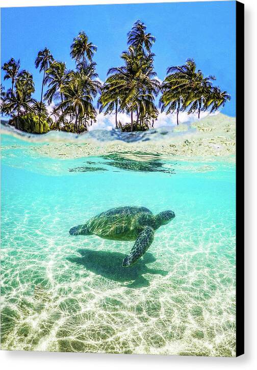 Passing Through Paradise 1 - Canvas Print Canvas Print 1ArtCollection