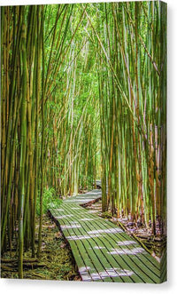 Passing Through Pipiwai #1 - Canvas Print Canvas Print 1ArtCollection