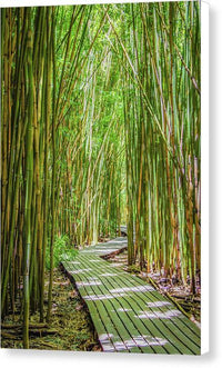 Passing Through Pipiwai #1 - Canvas Print Canvas Print 1ArtCollection