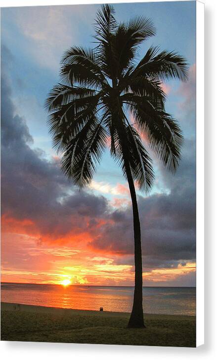 Perfect Palm 1 - Canvas Print