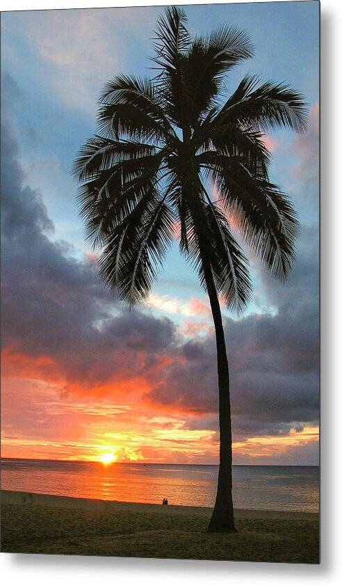 Perfect Palm 1 - Metal Print