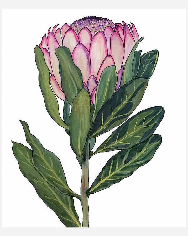 Protea 01 1 - Art Print Art Print 1ArtCollection