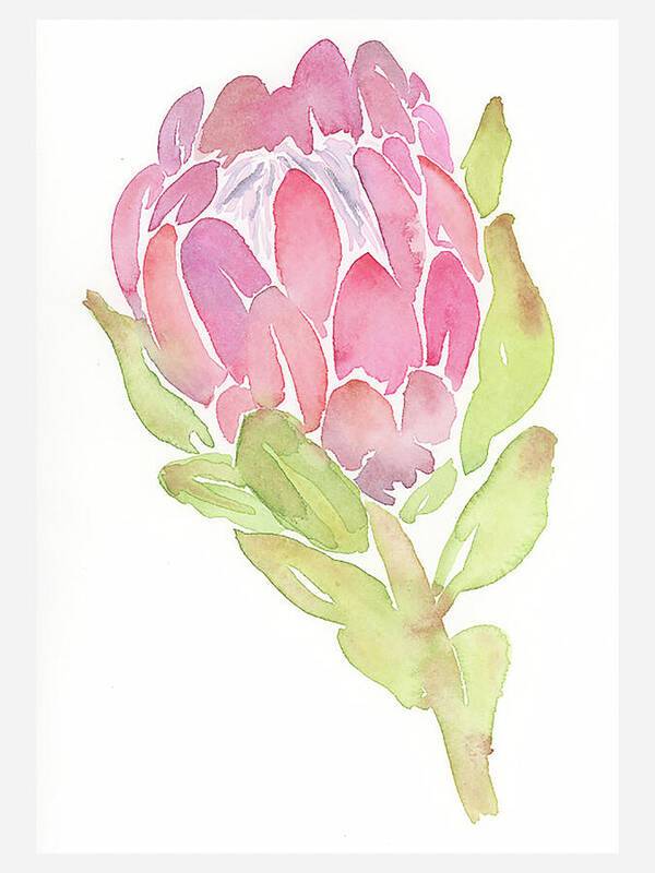 Protea 02 1 - Art Print Art Print 1ArtCollection