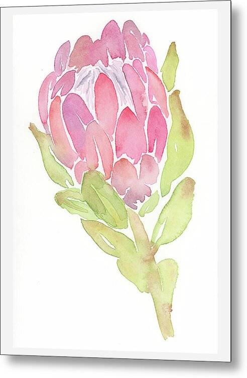 Protea 02 1 - Metal Print Metal Print 1ArtCollection