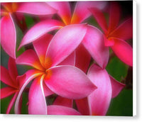 Pualani Perfume 1 - Canvas Print Canvas Print 1ArtCollection