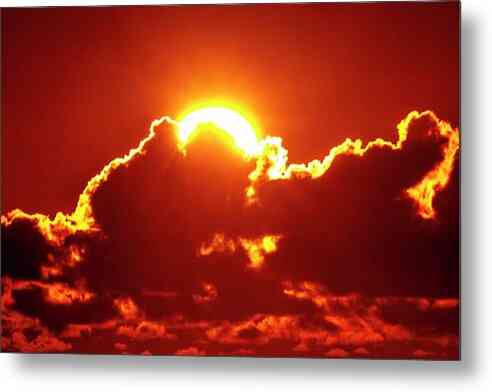 Rise and Shine - Metal Print Metal Print 1ArtCollection