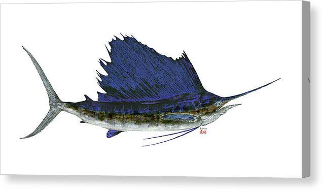 Sailfish 1 - Canvas Print Canvas Print 1ArtCollection