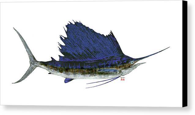 Sailfish 1 - Canvas Print Canvas Print 1ArtCollection