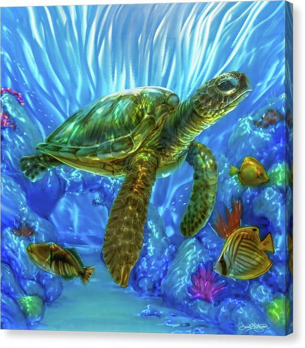 Sea of Life 1 - Canvas Print Canvas Print 1ArtCollection