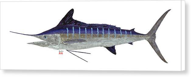 Striped Marlin 1 - Gyotaku Canvas Print Canvas Print 1ArtCollection