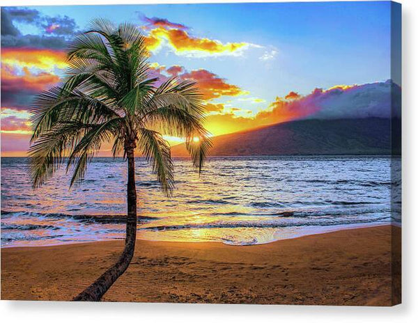 Sugar Sunset 1 - Canvas Print Canvas Print 1ArtCollection