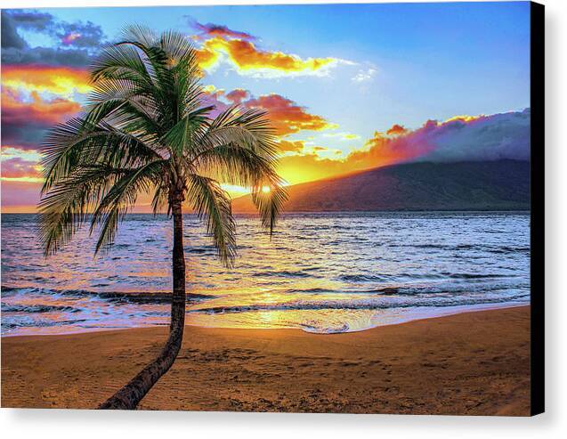 Sugar Sunset 1 - Canvas Print Canvas Print 1ArtCollection