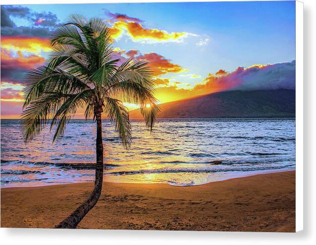 Sugar Sunset 1 - Canvas Print Canvas Print 1ArtCollection