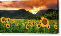 Sunflower Delight 1 - Canvas Print Canvas Print 1ArtCollection