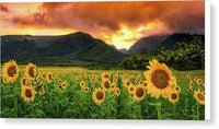 Sunflower Delight 1 - Canvas Print Canvas Print 1ArtCollection