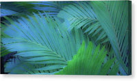 Tiger Palms Design 1 - Canvas Print Canvas Print 1ArtCollection