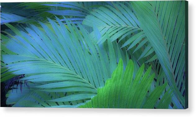 a close up of a green leafy plant