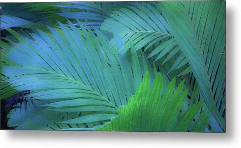 Tiger Palms Design 1 - Metal Print Metal Print 1ArtCollection