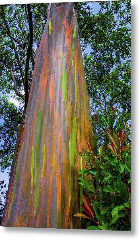 a colorful tree with green leaves and blue sky in the background