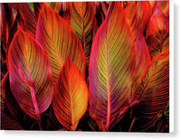 Tropicana Canna Glow 1 - Canvas Print