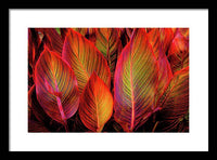 Tropicana Canna Glow 1 - Framed Print