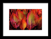 Tropicana Canna Glow 1 - Framed Print